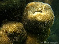 DSCF1244