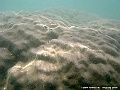 DSCF1246