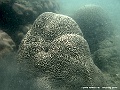 DSCF1248
