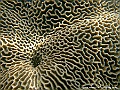 DSCF1252
