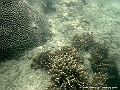 DSCF1255