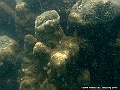 DSCF1256