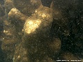 DSCF1257