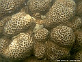 DSCF1261