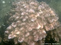DSCF1264