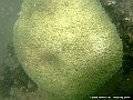 DSCF1267