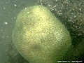 DSCF1268