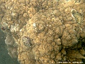 DSCF1269