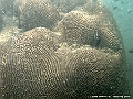 DSCF1270