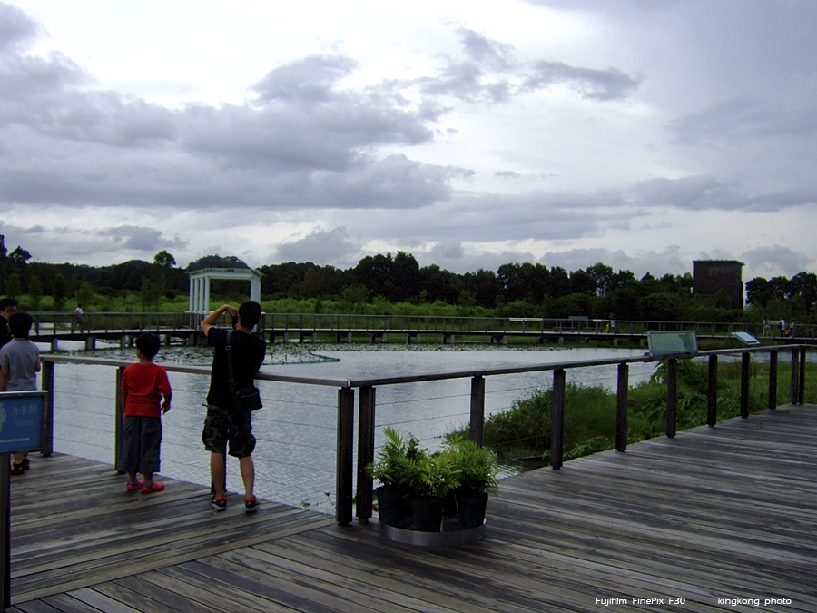 DSCF3875.JPG