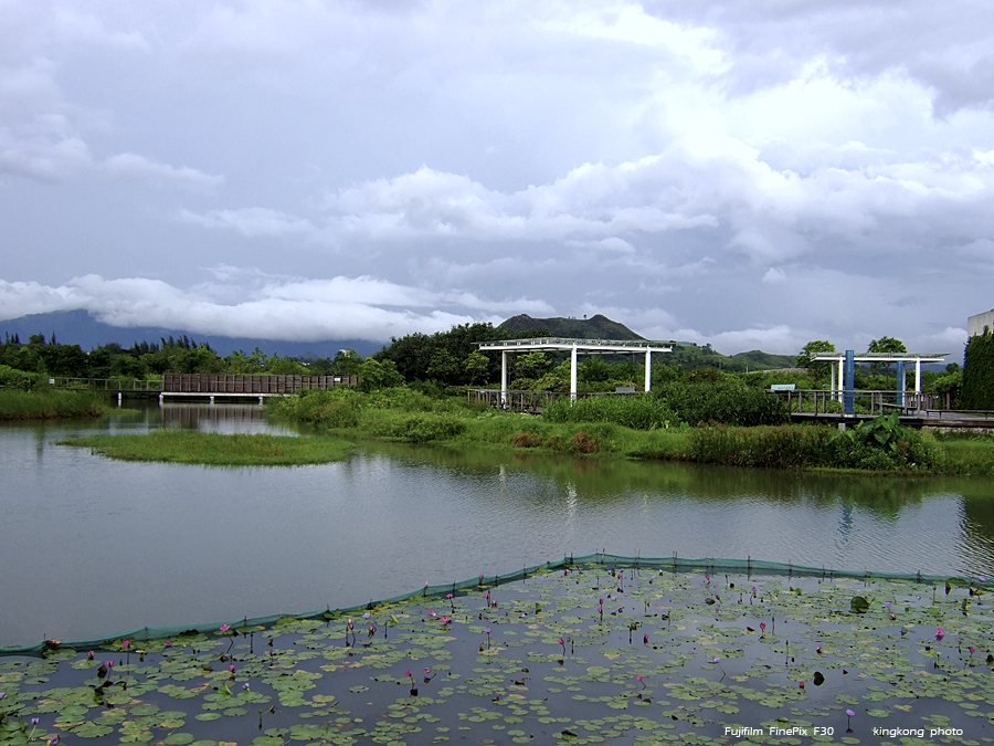 DSCF3878.JPG - Hong Kong Wetland Park