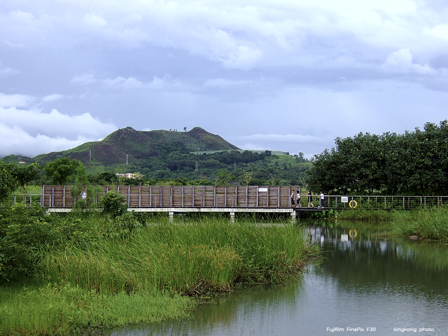 DSCF3889.JPG - Hong Kong Wetland Park