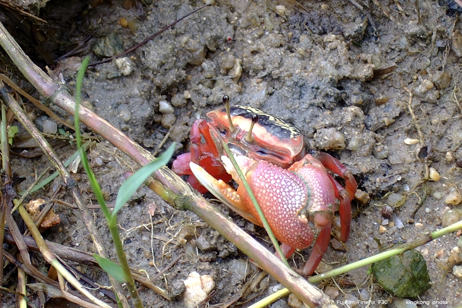 DSCF3899.JPG