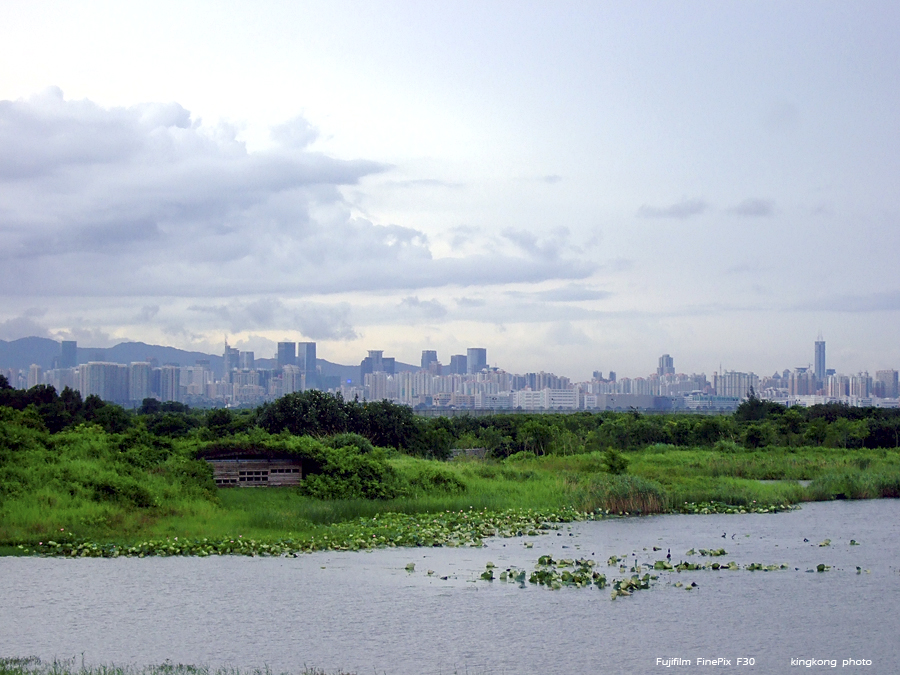 DSCF3968.JPG