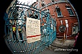 _DSC7556