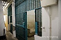 _DSC7572