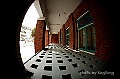 _DSC7641