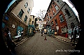 _DSC7647