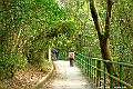 _DSC5441