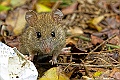 _DSC5451