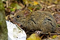_DSC5455