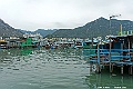 _DSC5487