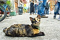 _DSC5492