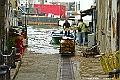 _DSC5494