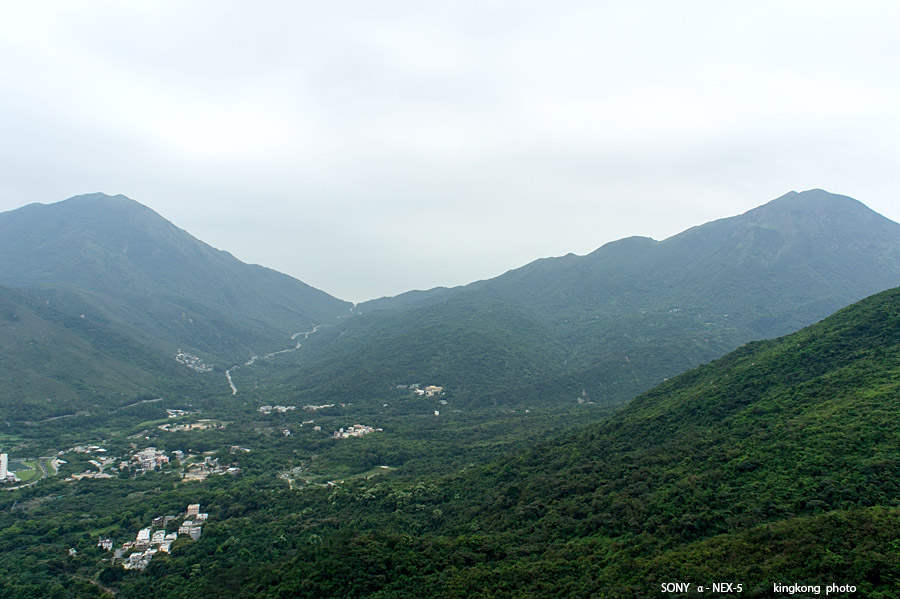 _DSC5536.jpg - SONY DSC