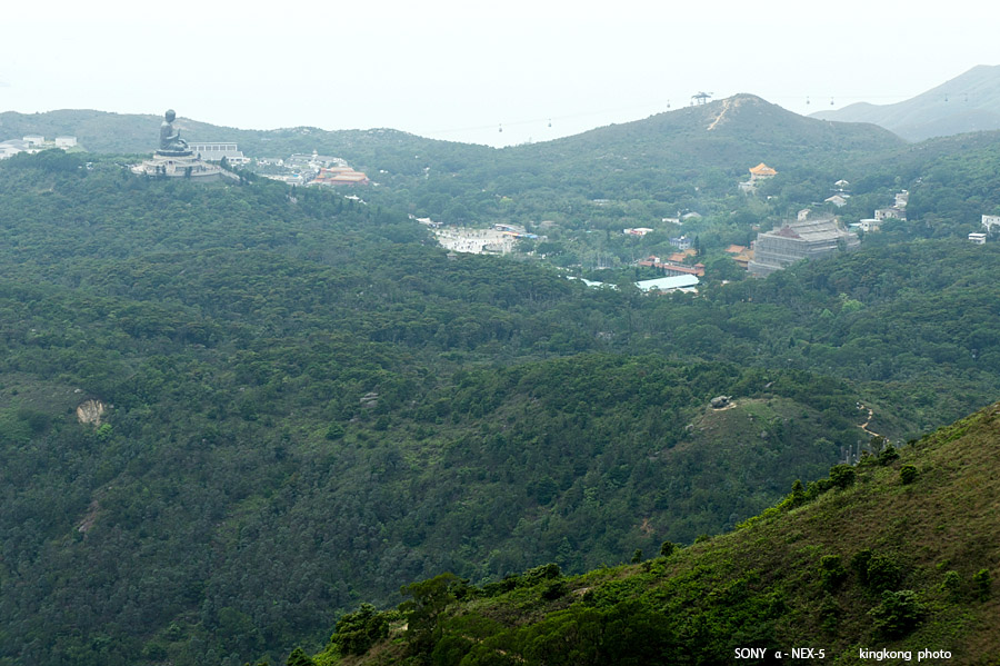 _DSC5616.jpg - SONY DSC