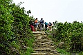 _DSC5528