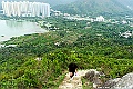 _DSC5529