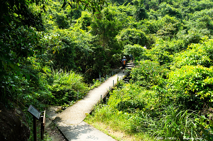 _DSC7097.jpg - Taken at Latitude/Longitude:22.257189/113.926383. 0.32 km South Tei Tong Tsai  Hong Kong   (Map link) 