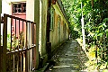 _DSC7102