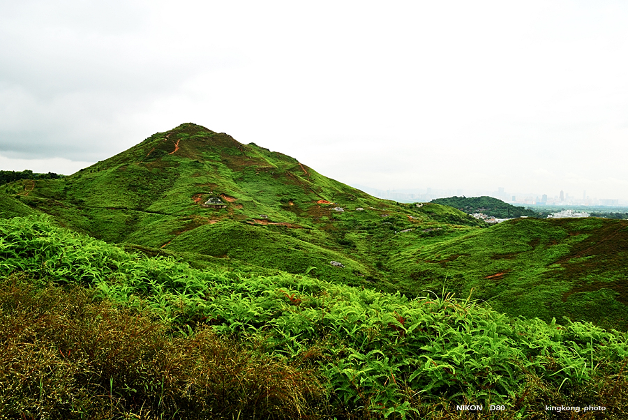 DSC_3782.jpg