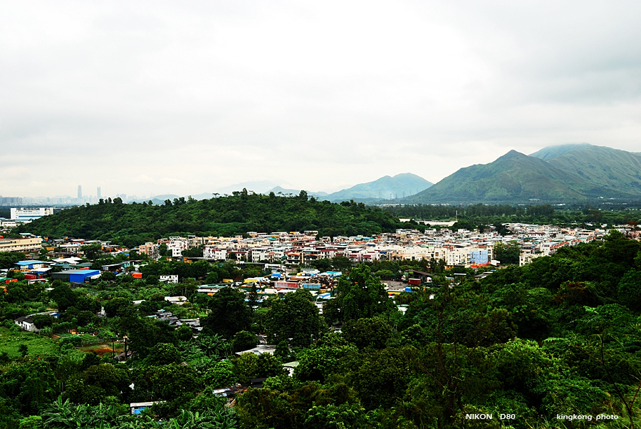 DSC_3785.jpg