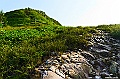 _DSC1801