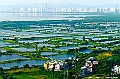 _DSC1807