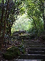 IMG_9454