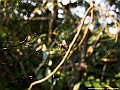 IMG_9467