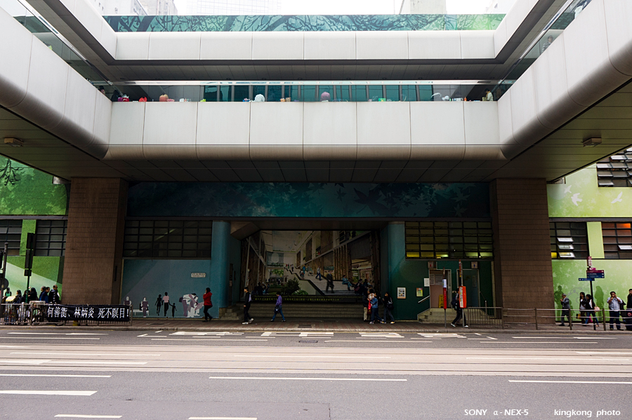 _DSC8210.jpg - SONY DSC