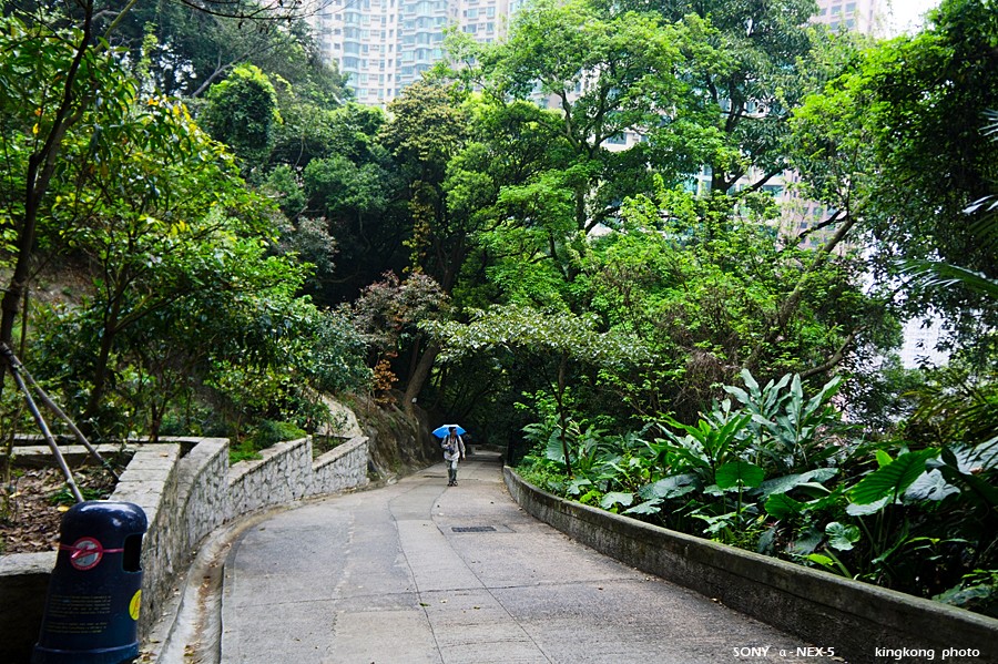 _DSC8234.jpg - SONY DSC