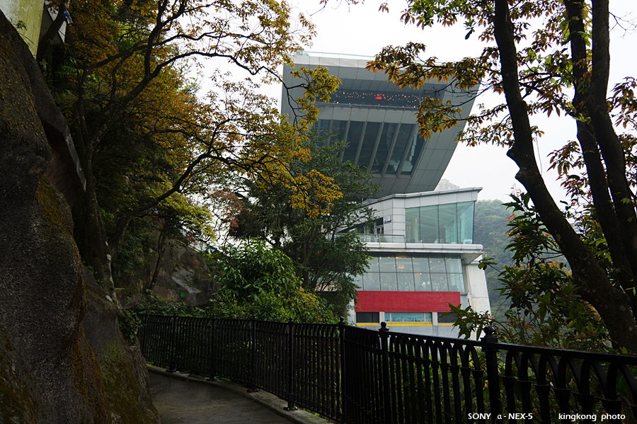 _DSC8252.jpg - SONY DSC