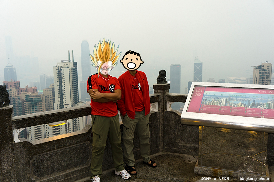_DSC8272.jpg - SONY DSC
