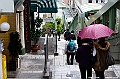 _DSC8228