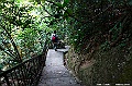 _DSC8231