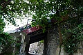 _DSC8239