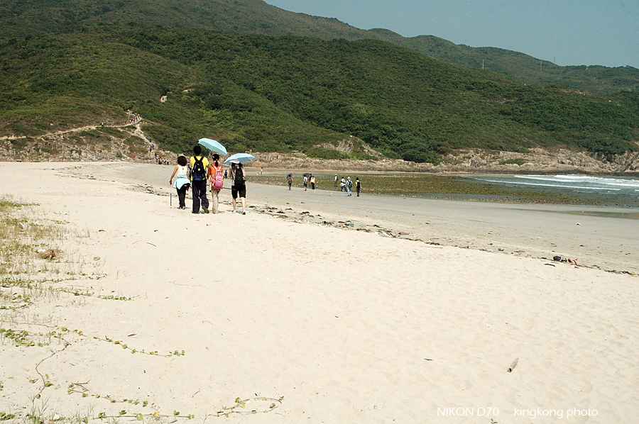 DSC_4300.jpg - 麥理浩徑2段, 鹹田灣 - 赤徑