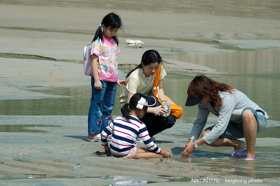 DSC_4307.jpg - 麥理浩徑2段, 鹹田灣 - 赤徑