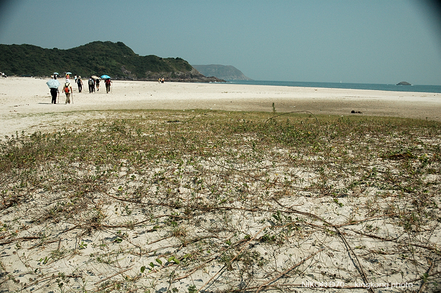 DSC_4324.JPG - 麥理浩徑2段, 鹹田灣 - 赤徑